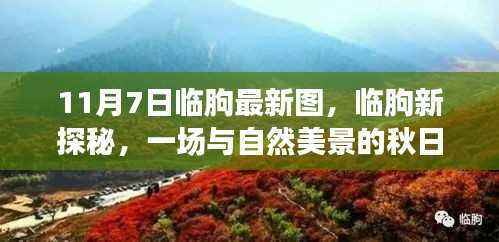 临朐秋日新探秘,与自然美景的邂逅时光(11月7日最新图片)
