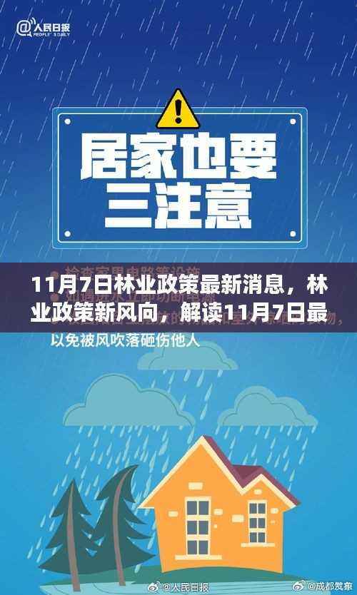 解读最新林业政策动态,林业政策新风向及其深远影响(11月7日更新)
