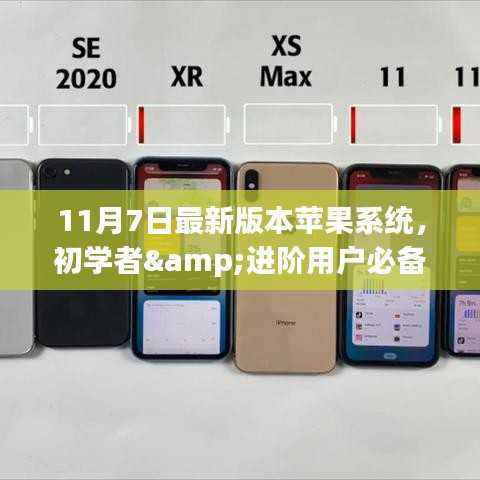 苹果系统升级指南,初学者与进阶用户必备指南(适用于最新11月7日版本)