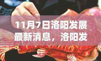 11月7日洛阳发展动态,机遇与挑战的最新消息