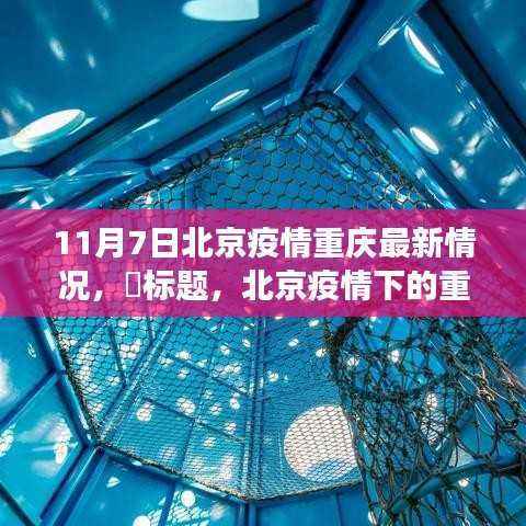 北京疫情下的重庆新动态,自然美景的治愈之旅