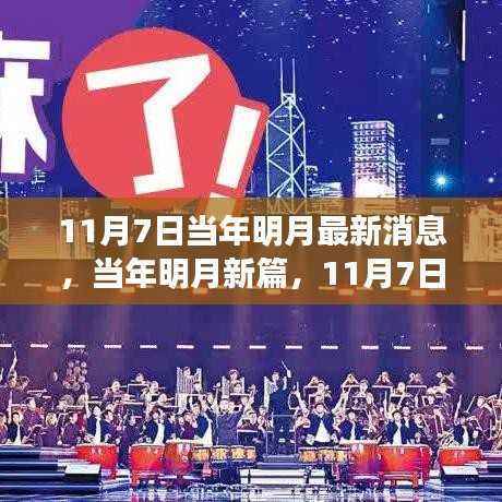 当年明月最新动态,11月7日的讯息与影响揭秘