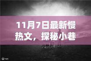 独家揭秘,慢热奇缘特色小店之旅(11月7日探秘小巷深处)
