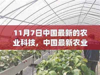 中国最新农业科技进展,观察与思考(11月7日版)