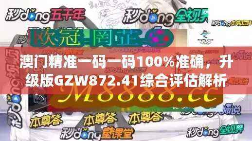 澳门精准一码一码100%准确,升级版GZW872.41综合评估解析