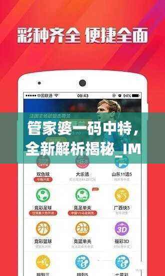 管家婆一码中特,全新解析揭秘_IMQ310.52神版