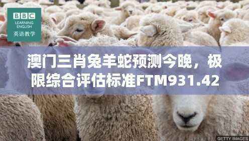 澳门三肖兔羊蛇预测今晚,极限综合评估标准FTM931.42