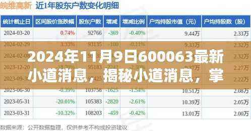 揭秘小道消息，掌握最新资讯获取与分析技能——以股票代码600063为例的探讨（2024年11月9日最新消息）