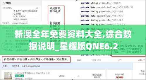 新澳全年免费资料大全,综合数据说明_星耀版QNE6.2