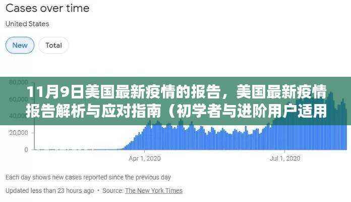 美国最新疫情报告解析与应对指南,从初学者到进阶用户的全方位指南(11月9日更新)