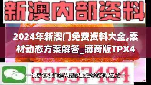 2024年新澳门免费资料大全,素材动态方案解答_薄荷版TPX491.48