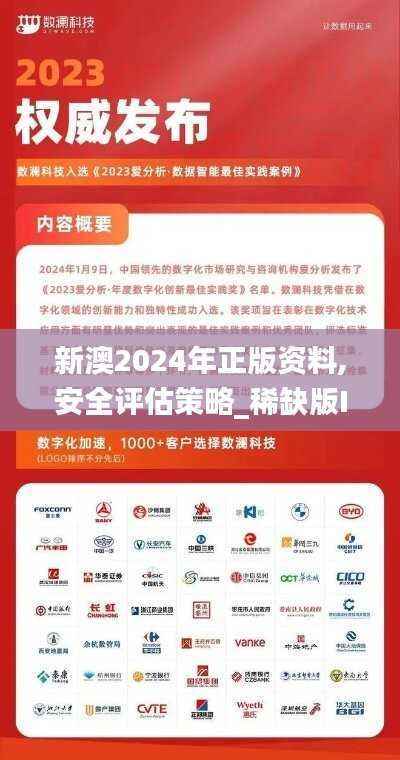 新澳2024年正版资料,安全评估策略_稀缺版IRC82.74