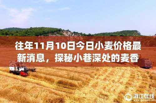 探秘小巷深处的麦香秘境，揭秘小麦价格背后的故事——最新小麦价格行情分析（日期，往年11月10日）