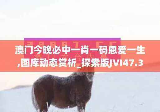 澳门今晚必中一肖一码恩爱一生,图库动态赏析_探索版JVI47.31