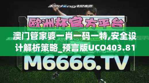 澳门管家婆一肖一码一特,安全设计解析策略_预言版UCO403.81