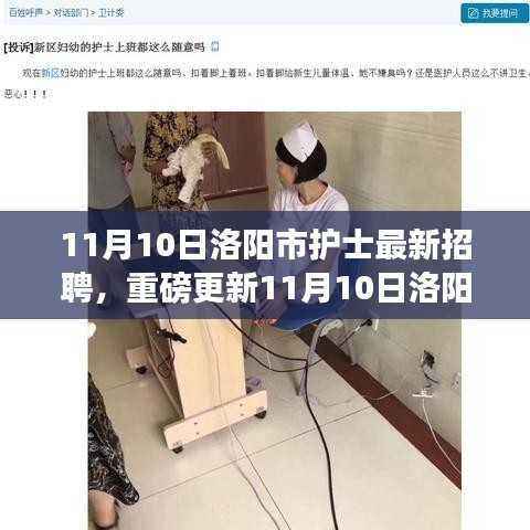11月10日洛阳市护士全新招聘启事,护理梦想扬帆起航