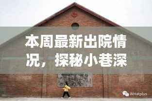 探秘康复故事馆,本周最新出院情况揭秘