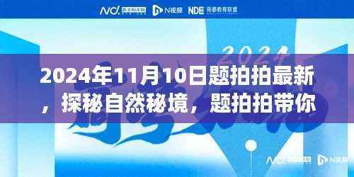 探秘自然秘境,题拍拍带你领略2024年11月10日的自然美景之旅新体验