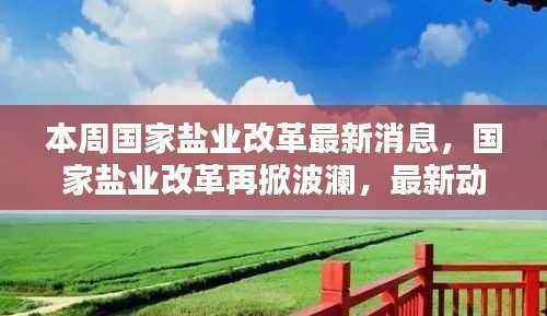 国家盐业改革最新动态,进展、背景与深远影响再掀波澜