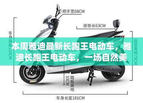 雅迪长跑王电动车,自然美景探秘之旅,启程寻找内心宁静的旅程
