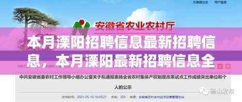 本月溧阳招聘信息汇总,全面解读特性、体验、竞争分析与用户洞察