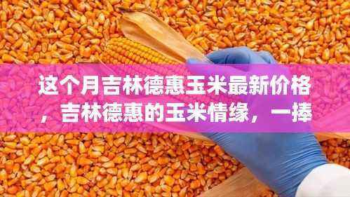 吉林德惠玉米最新价格与情缘,一捧玉米的温馨故事