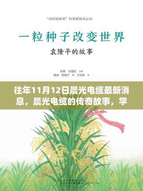 晨光电缆传奇故事揭秘,变化的力量与自信的魔法最新消息回顾