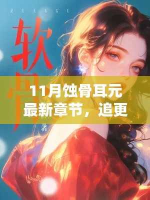 11月蚀骨耳元最新章节揭秘,追更指南与三大要点解析