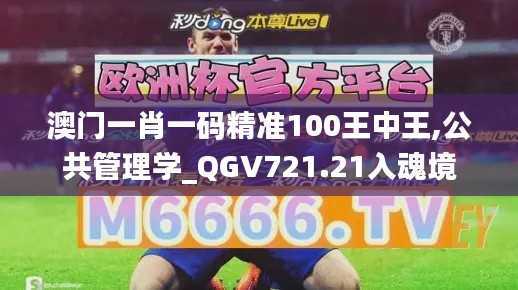 澳门一肖一码精准100王中王,公共管理学_QGV721.21入魂境