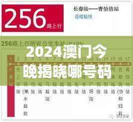 2024澳门今晚揭晓哪号码,精选解析及智能版GBJ223.74详解
