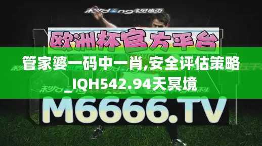 管家婆一码中一肖,安全评估策略_IQH542.94天冥境