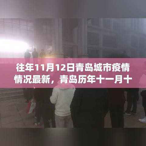 青岛历年11月12日疫情回顾,城市成长与挑战的见证者