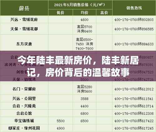 陆丰最新房价动态,新居记背后的温馨故事与房价趋势