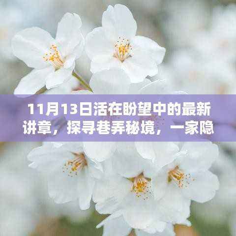 探寻巷弄秘境,特色小店新篇章——活在盼望中的11月13日讲章