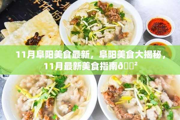 11月阜阳美食大揭秘,最新美食指南🍲