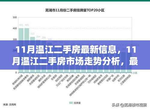 11月温江二手房市场深度解析,最新信息、走势分析与观点碰撞