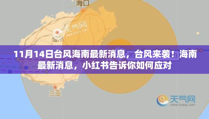 小红书揭秘,台风来袭海南如何应对,最新消息动态更新!
