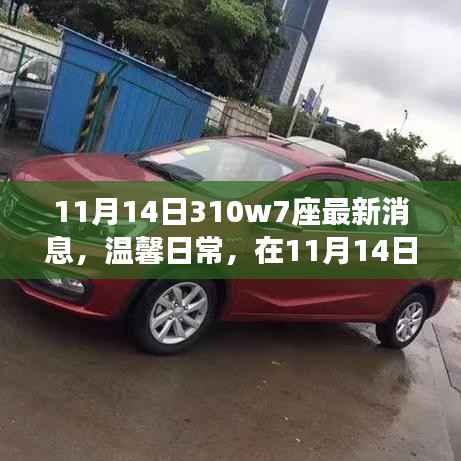 11月14日310w7座最新动态,温馨日常与不解之缘