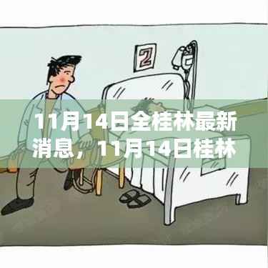 11月14日桂林全貌,最新消息速递与城市动态一网打尽