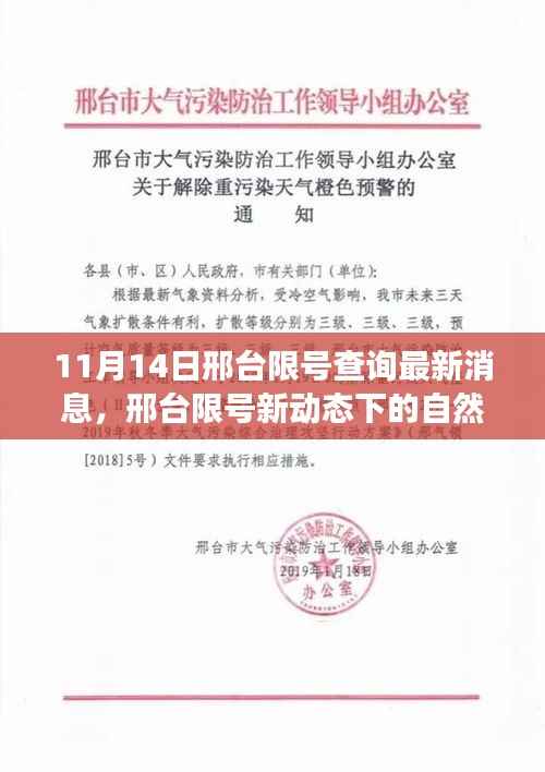 邢台限号新动态下的自然探索之旅,寻找内心的宁静与平和(最新消息更新)
