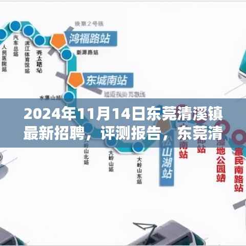 东莞清溪镇最新招聘深度解析与评测报告(2024年11月版)