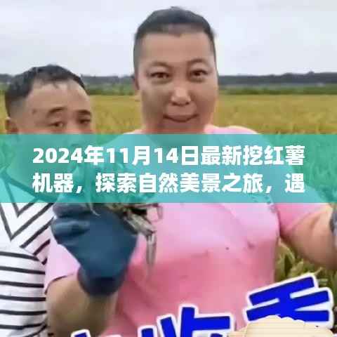 最新挖红薯机器探索之旅,自然美景中的心灵宁静与平和体验