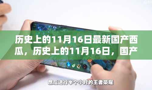国产西瓜新篇章,历史上的11月16日回顾与展望