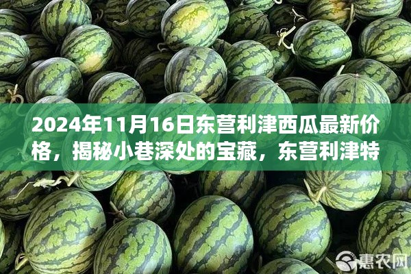 揭秘东营利津特色西瓜最新价格与故事,小巷深处的宝藏,2024年价格一览表