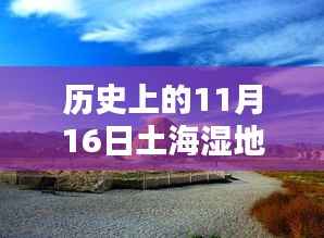 历史上的11月16日与土海湿地公园,探秘公园,揭秘历史与惊喜时刻