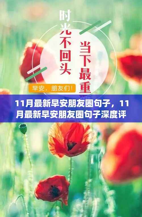11月最新早安朋友圈句子,深度评测与介绍