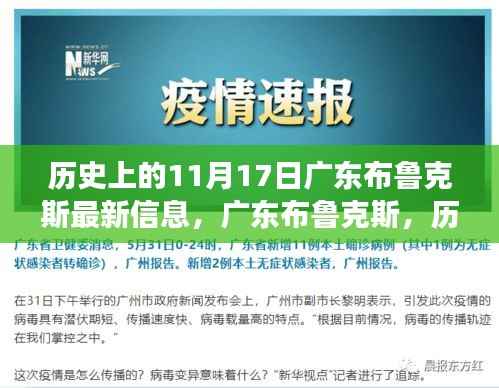 广东布鲁克斯的特殊日期,历史上的变迁与最新视角解读的启示