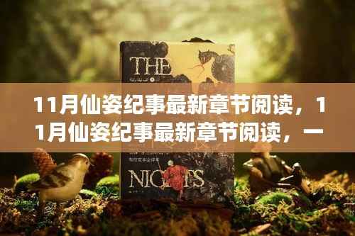 奇幻巨献11月仙姿纪事深度解析与最新章节阅读测评