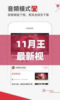 初学者与进阶用户必备,11月王最新视频学习教程,掌握新技能的步骤指南