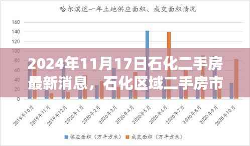 石化区域二手房市场深度解析及最新消息展望(2024年11月版)
